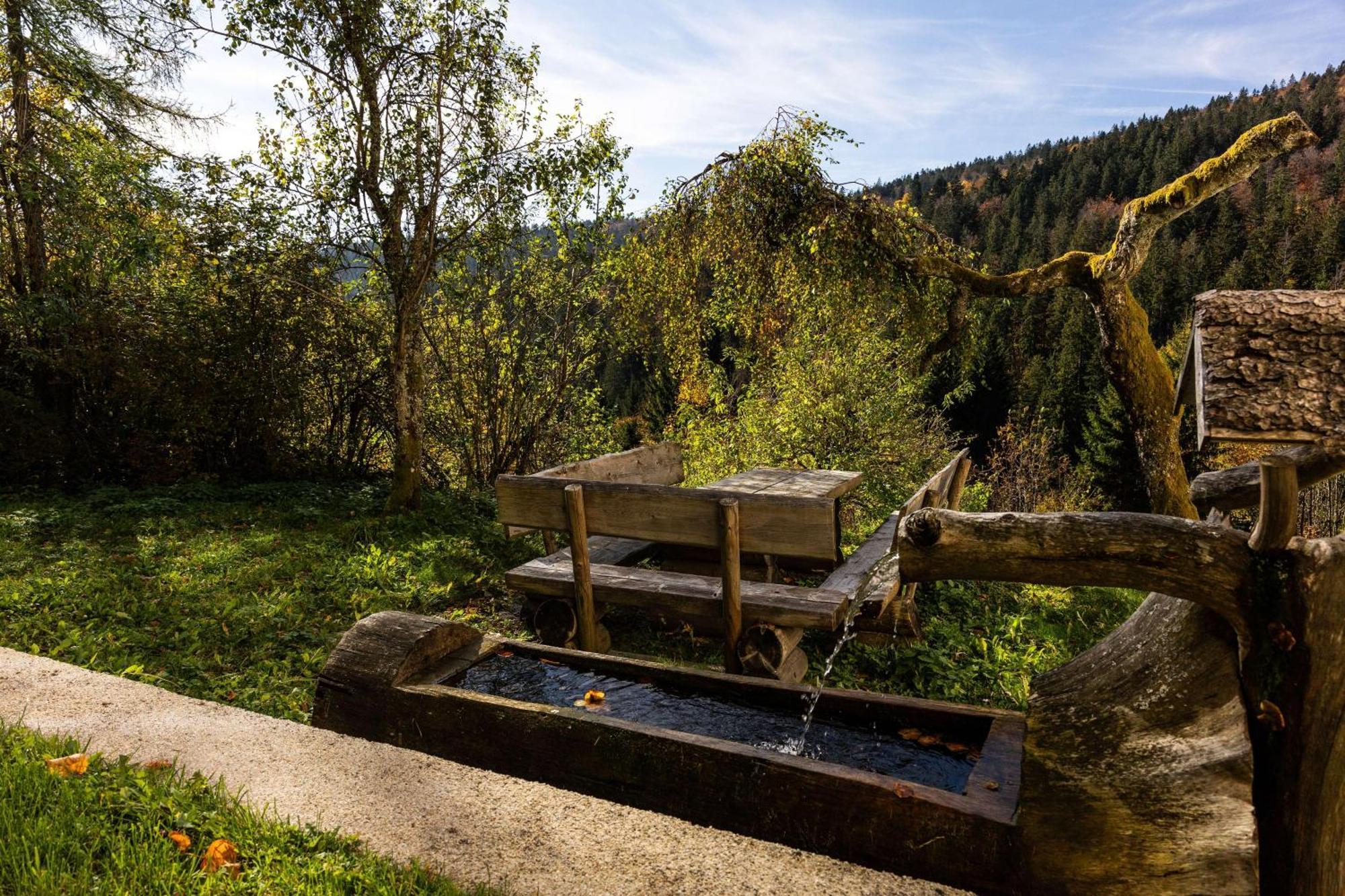 Forsthaus Apartments - Ski + Bike & Hike Klaffer am Hochficht Exterior foto